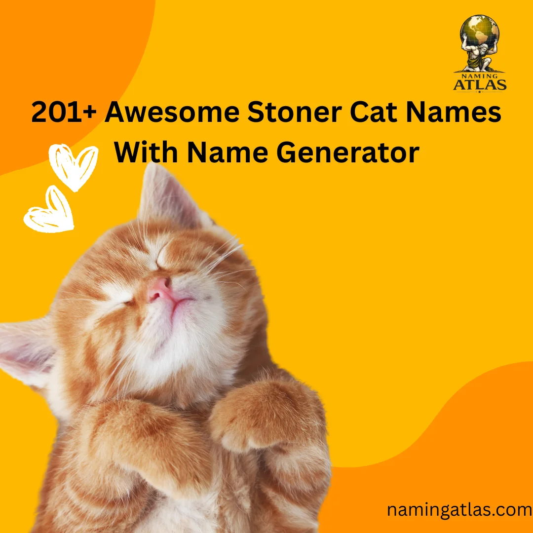 Awesome Stoner Cat Names With Name Generator