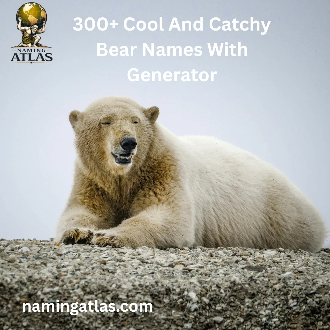 Cool And Catchy Bear Names With Generator