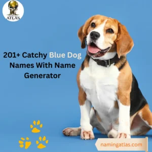 Catchy Blue Dog Names With Name Generator