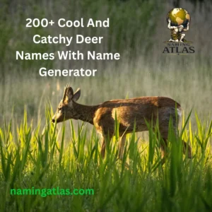Cool And Catchy Deer Names With Name Generator