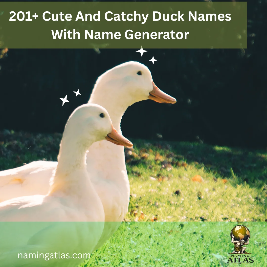 Cute And Catchy Duck Names With Name Generator