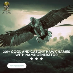 Cool And Catchy Hawk Names With Name Generator