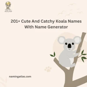 Cute And Catchy Koala Names With Name Generator