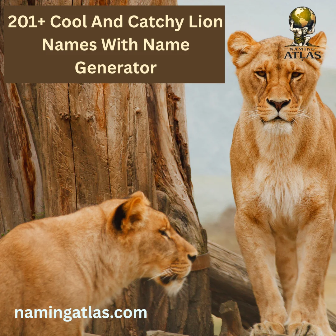 201+ Cool And Catchy Lion Names With Name Generator