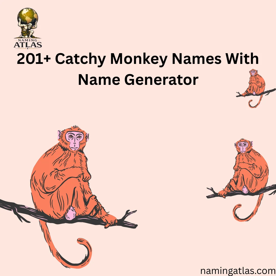 Catchy Monkey Names With Name Generator