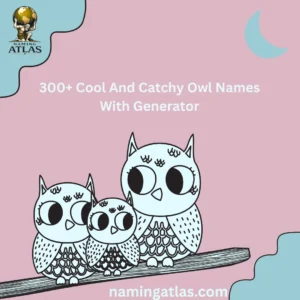 Cool And Catchy Owl Names With Generator