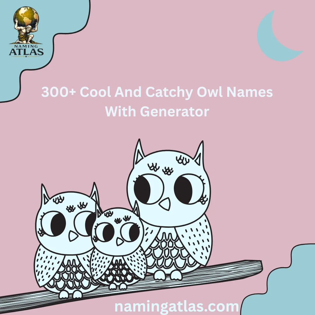 Cool And Catchy Owl Names With Generator