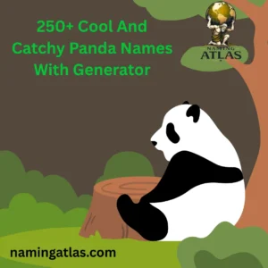 Cool And Catchy Panda Names With Generator