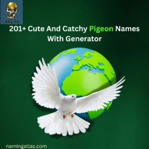 Cute And Catchy Pigeon Names With Generator
