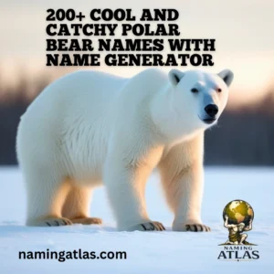 Cool And Catchy Polar Bear Names With Name Generator