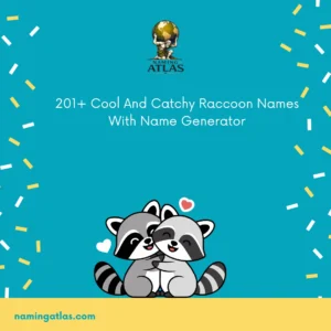 Cool And Catchy Raccoon Names With Name Generator