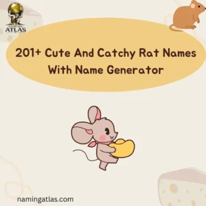 Cute And Catchy Rat Names With Name Generator