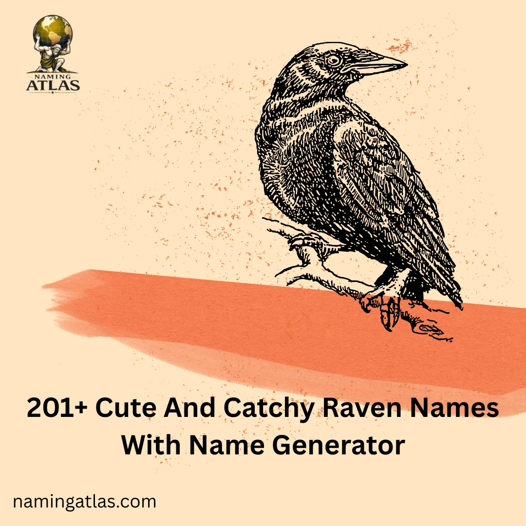 Cute And Catchy Raven Names With Name Generator