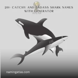 Catchy And Badass Shark Names With Generator