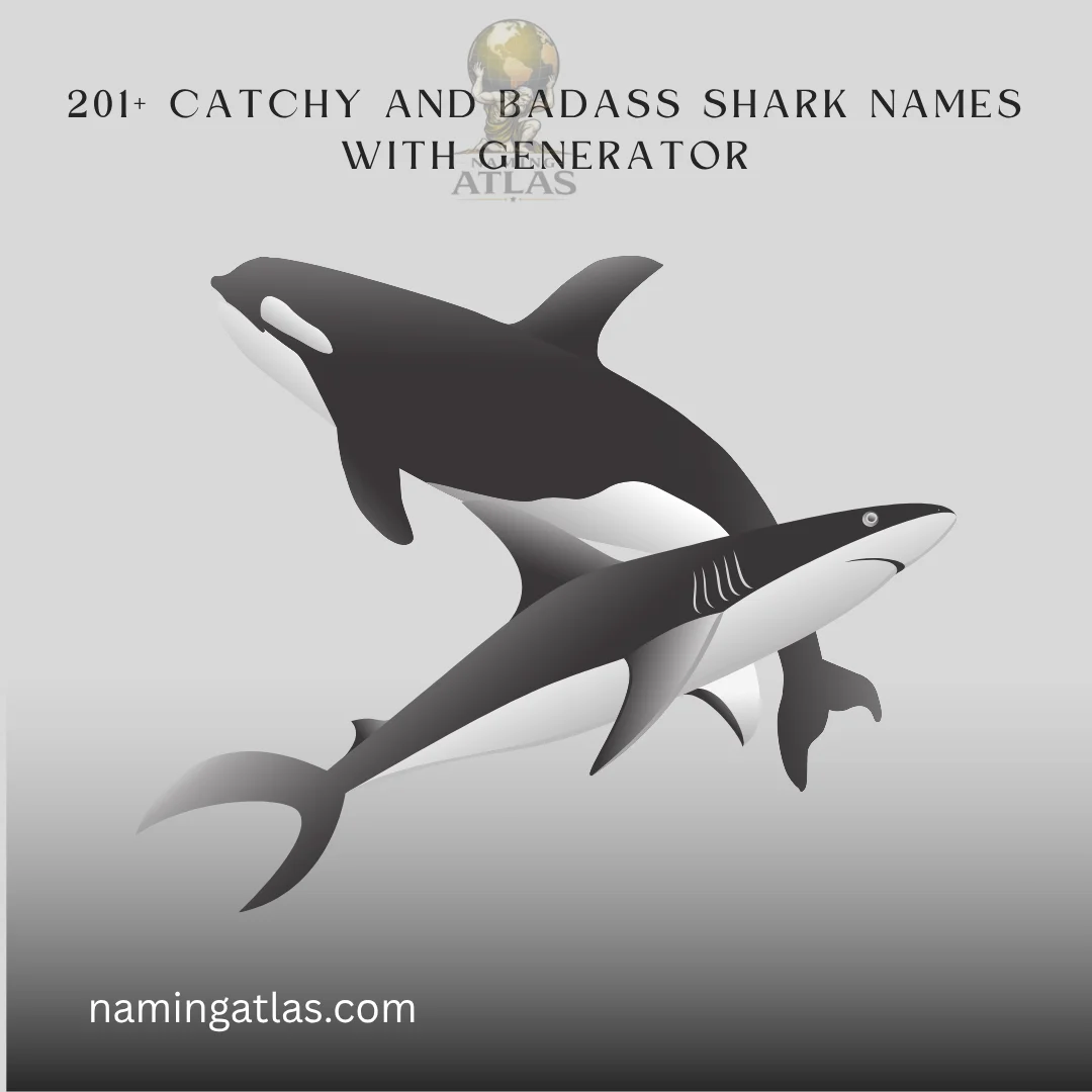 Catchy And Badass Shark Names With Generator