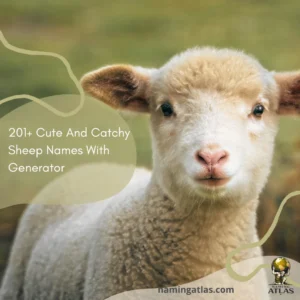 Cute And Catchy Sheep Names With Generator