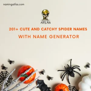 Cute And Catchy Spider Names With Name Generator