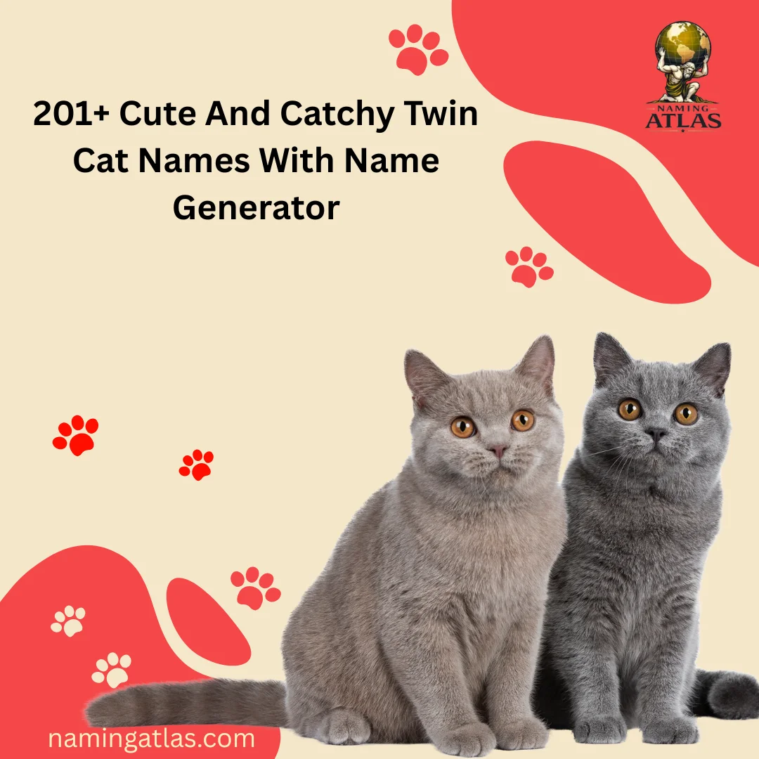 Cute And Catchy Twin Cat Names With Name Generator