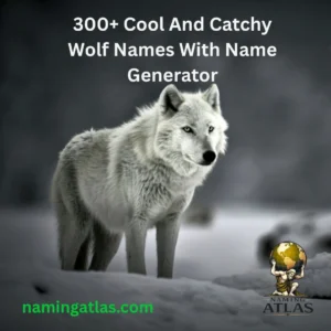 Cool And Catchy Wolf Names With Name Generator