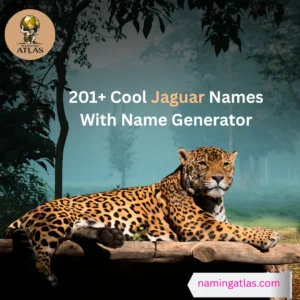 Cool Jaguar Names With Name Generator