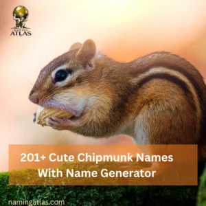 Cute Chipmunk Names With Name Generator