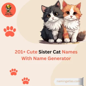 Cute Sister Cat Names With Name Generator
