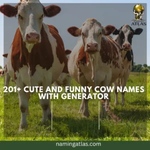 Cute And Funny Cow Names With Generator
