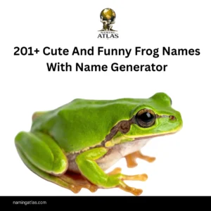 Cute And Funny Frog Names With Name Generator
