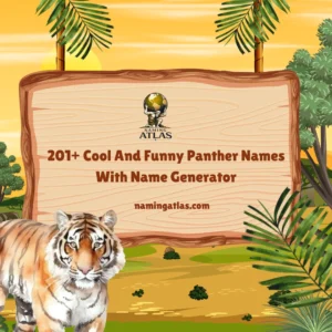Cool And Funny Panther Names With Name Generator