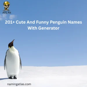 Cute And Funny Penguin Names With Generator