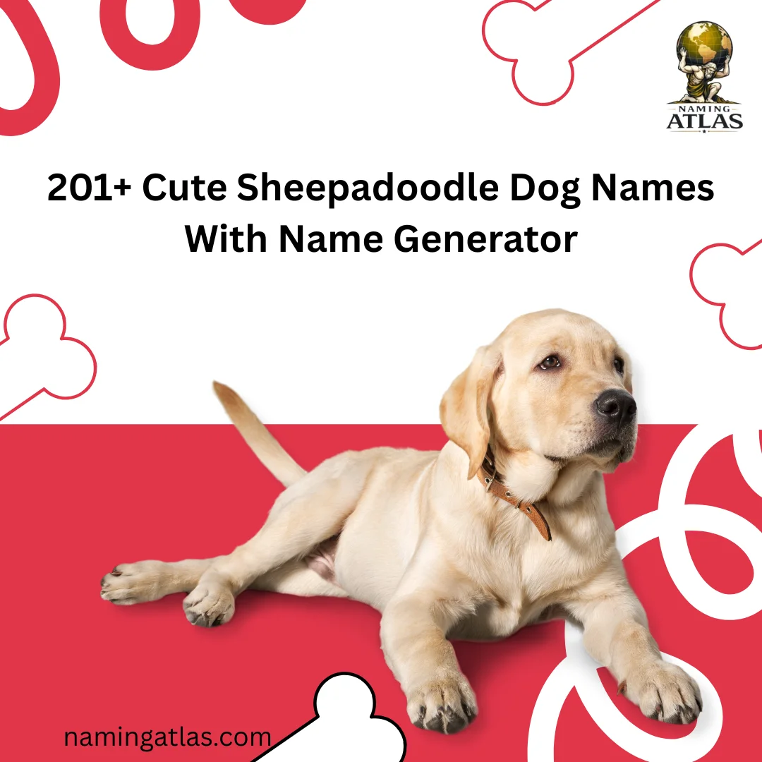 Cute Sheepadoodle Dog Names With Name Generator