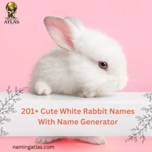 Cute White Rabbit Names With Name Generator