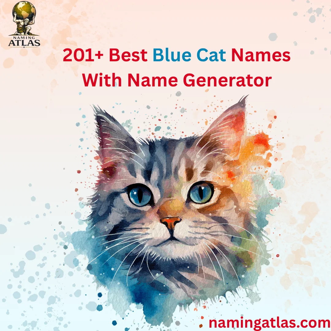 Best Blue Cat Names With Name Generator