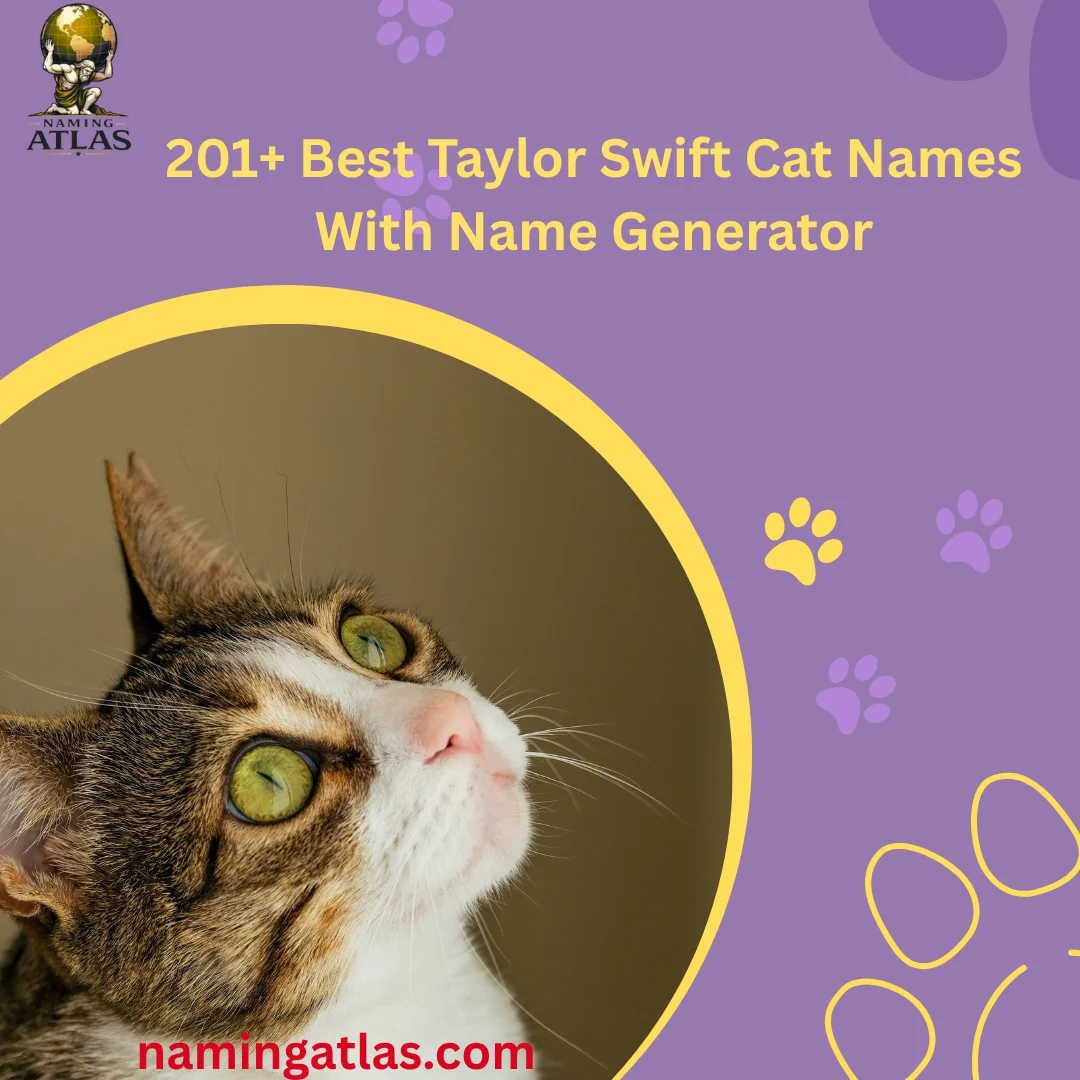 Best Taylor Swift Cat Names With Name Generator