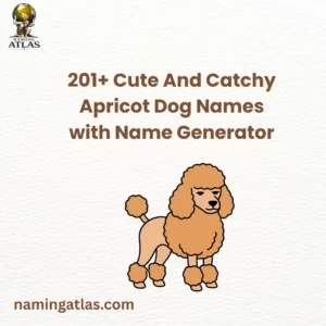 Cute And Catchy Apricot Dog Names with Name Generator