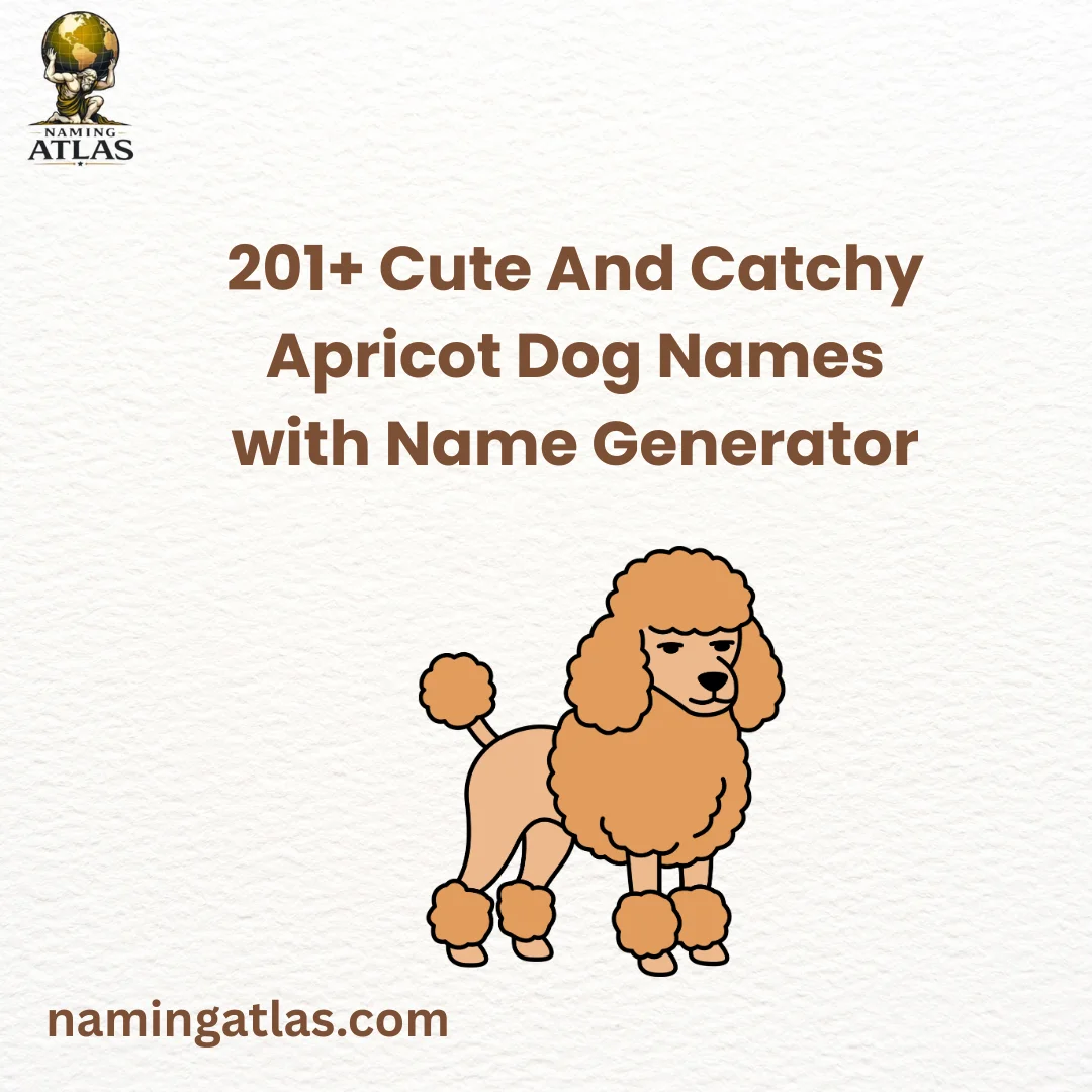 Cute And Catchy Apricot Dog Names with Name Generator