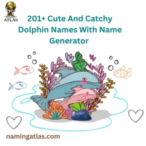 Cute And Catchy Dolphin Names With Name Generator