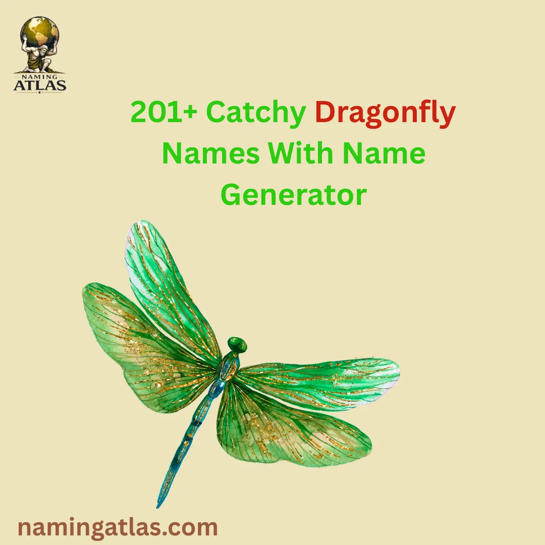 Catchy Dragonfly Names With Name Generator
