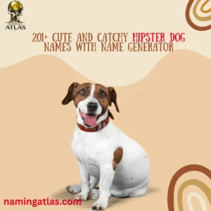 Cute And Catchy Hipster Dog Names With Name Generator