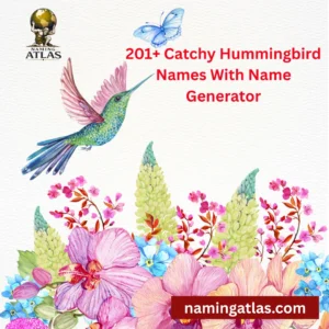 Catchy Hummingbird Names With Name Generator