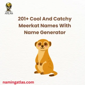Cool And Catchy Meerkat Names With Name Generator