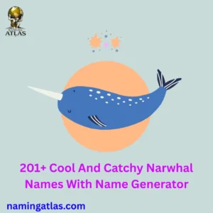 Cool And Catchy Narwhal Names With Name Generator