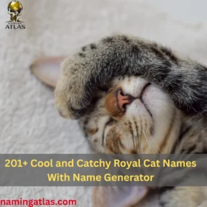 Cool and Catchy Royal Cat Names With Name Generator