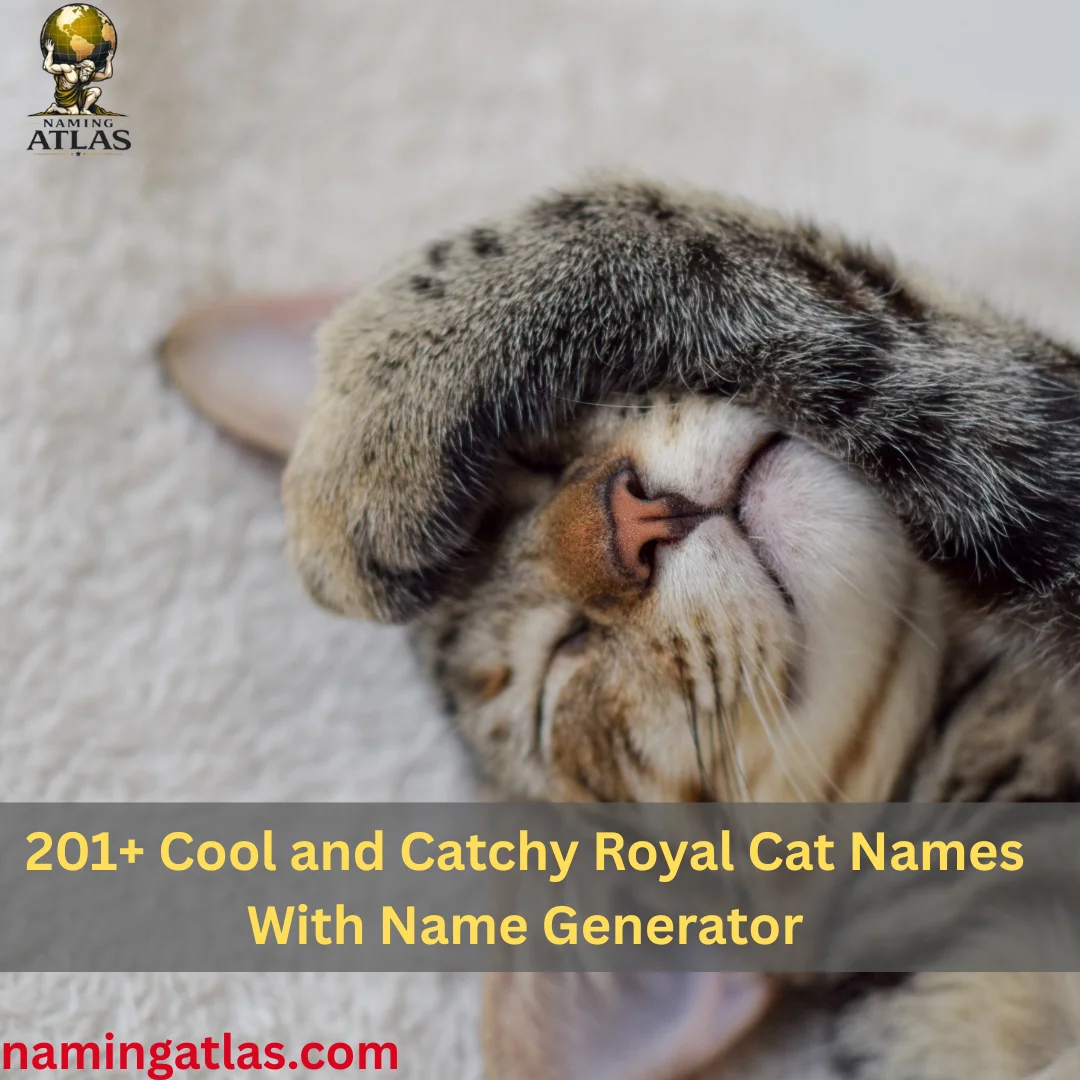 Cool and Catchy Royal Cat Names With Name Generator