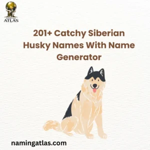 Catchy Siberian Husky Names With Name Generator