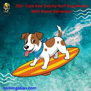 Cute And Catchy Surf Dog Names With Name Generator