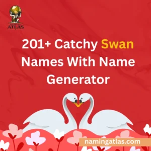 Catchy Swan Names With Name Generator