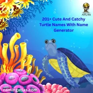 Cute And Catchy Turtle Names With Name Generator