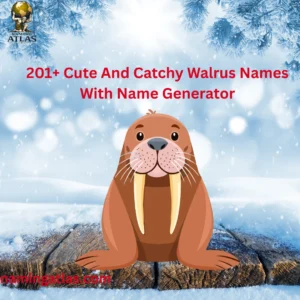 Cute And Catchy Walrus Names With Name Generator