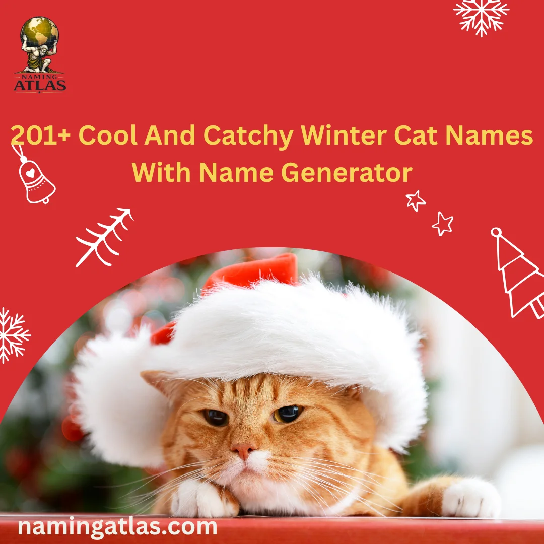 Cool And Catchy Winter Cat Names With Name Generator